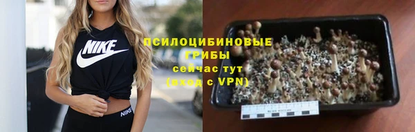 первитин Красноперекопск