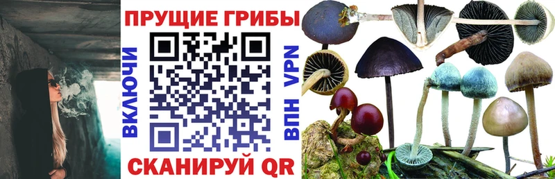 Купить где  Аша  Галлюциногенные грибы мухоморы 